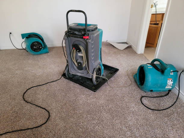 Best Water damage cleanup near me  in Myers Corner, NY