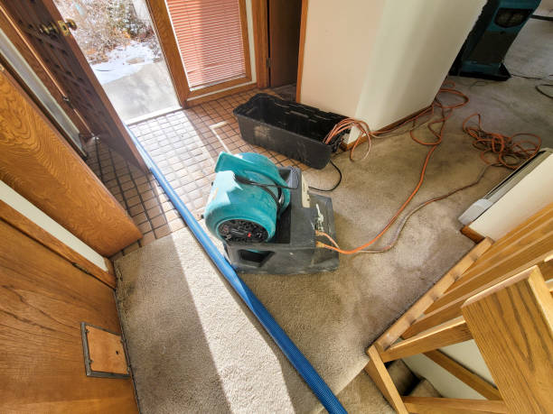 Best Water damage restoration services  in Myers Corner, NY