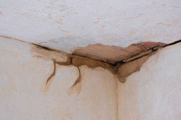 Best Commercial water damage restoration  in Myers Corner, NY