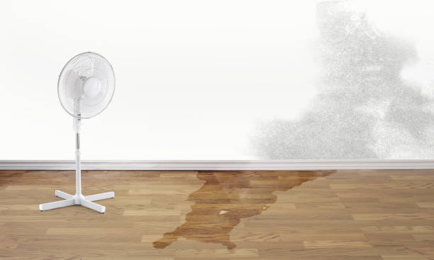 Best Water damage restoration near me  in Myers Corner, NY