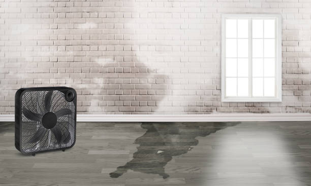 Best Fire Damage Restoration  in Myers Corner, NY