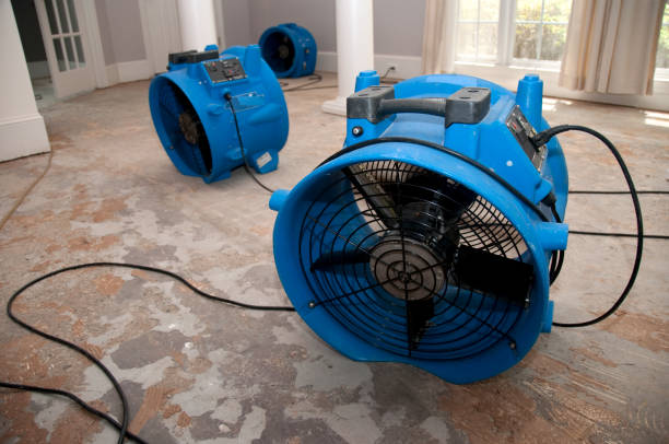 Best Local water damage restoration  in Myers Corner, NY