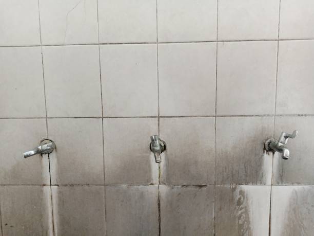 Best Fire Damage Restoration  in Myers Corner, NY