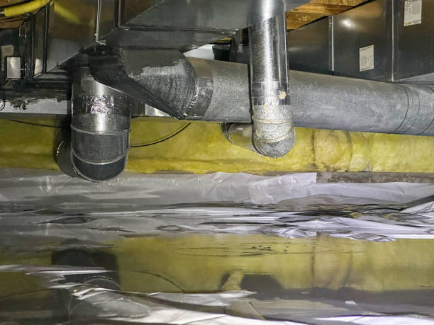 Best Local water damage restoration  in Myers Corner, NY
