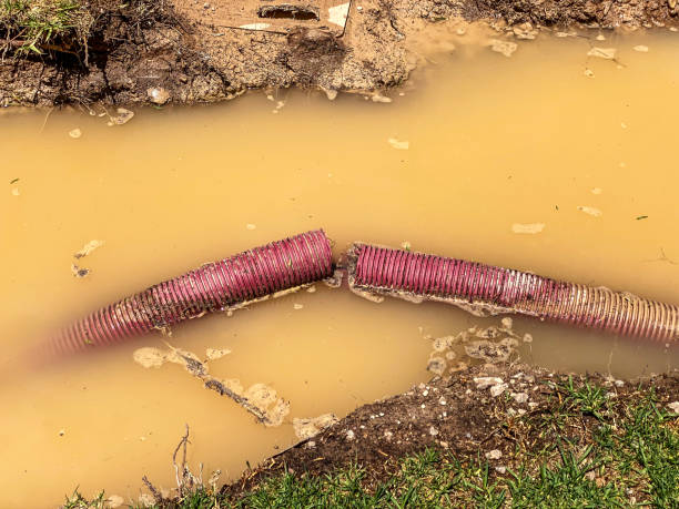 Best Flood restoration services  in Myers Corner, NY