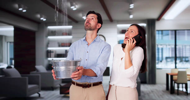 Best Ceiling water damage repair  in Myers Corner, NY