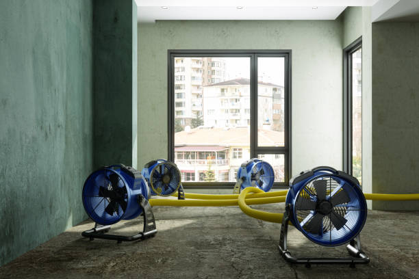 Best Water damage restoration near me  in Myers Corner, NY